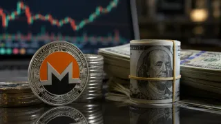 Privacy Protocol Dynamics: Monero Holds Steady Amid Expanding On-Chain Utility